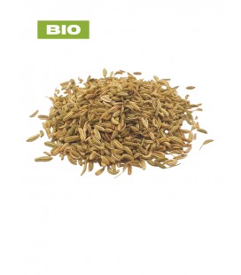 Fenouil BIO, foeniculum vulgare, tisane de fenouil - graine entière, plantes en vrac