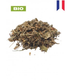 Artichaut BIO, cynara cardunculus, tisane artichaut - feuille coupée, plantes en vrac