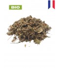 Artichaut, cynara scolymus, tisane artichaut - fleur coupée, plantes en vrac