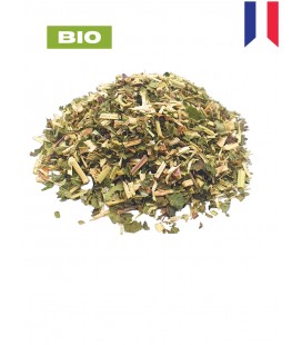 Reine des prés BIO, filipendula ulmaria, tisane reine des prés - sommité fleurie, plantes en vrac