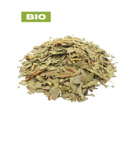 Eucalyptus BIO, eucalyptus globulus, tisane eucalyptus - feuille coupée, plantes en vrac