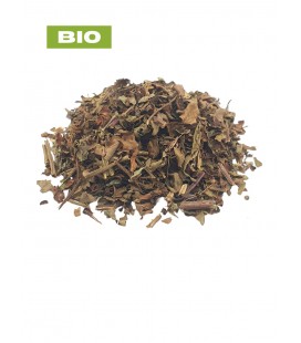 Orthosiphon BIO, orthosiphon aristatus, tisane orthosiphon - partie aérienne, plantes en vrac