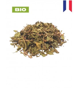 Pissenlit BIO, taraxacum officinale, tisane de pissenlit - partie aérienne, plantes en vrac