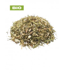 Mélilot BIO, melilotus officinalis, tisane de mélilot - partie aérienne, plantes en vrac