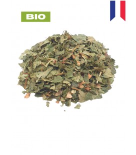 Bouleau BIO, betula pendula roth, tisane de bouleau - Feuille coupée, plantes en vrac - Herboristerie & Phytothérapie