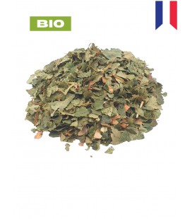 Bouleau BIO, betula pendula, tisane de bouleau - Feuille coupée, plantes en vrac