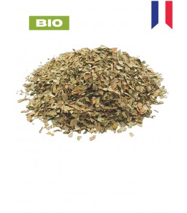 Frêne BIO, fraxinus excelsior, tisane de frêne - feuille coupée, plantes en vrac