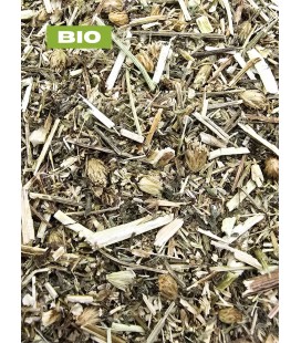 Achillée millefeuille BIO, achillea millefolium, tisane achillée millefeuille, p.aérienne coupée, plantes en vrac