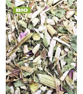 Échinacée pourpre BIO, echinacea purpurea, tisane échinacée - partie aérienne coupée, plantes en vrac