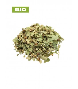 Tilleul BIO, tilia platyphyllos , tisane tilleul, bractée coupée, plantes en vrac