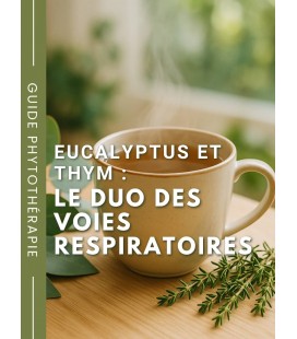 Eucalyptus et thym : le duo des voies respiratoires