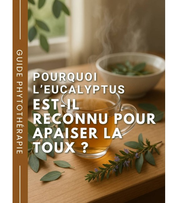 Pourquoi l’eucalyptus est-il reconnu pour apaiser la toux ?