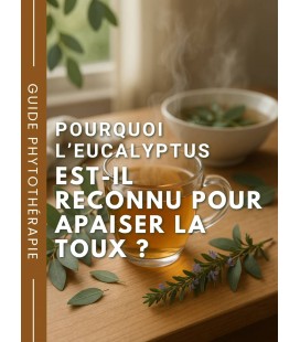 Pourquoi l’eucalyptus est-il reconnu pour apaiser la toux ?