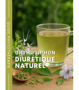 Orthosiphon BIO - Diurétique naturel - Guide phytothérapie