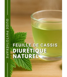 Feuille de cassis Bio - Diurétique naturel - Guide phytothérapie - Herboristerie & Phytothérapie