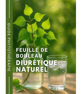 Feuille de bouleau Bio - Diurétique naturel - Guide phytothérapie