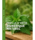 Ortie BIO - Diurétique naturel - Guide phytothérapie