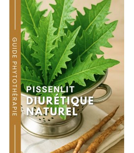 Pissenlit (feuille et racine) BIO - Diurétique naturel - Guide phytothérapie