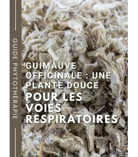 Guimauve officinale : la plante douce pour apaiser les voies respiratoires