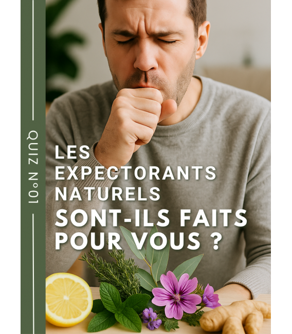 Quiz N°1