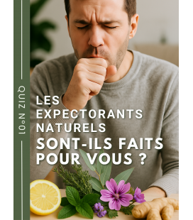 Quiz N°1