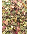 Tisane diurétique  rétention d'eau  N°1 BIO et naturel - Herboristerie Sensathé