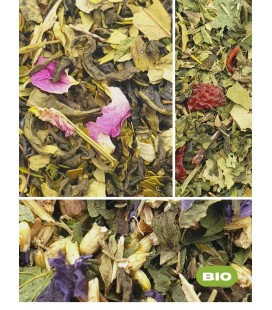 Pack minceur - Tisane bio
