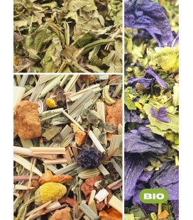 Pack transit N°1 - Tisane bio