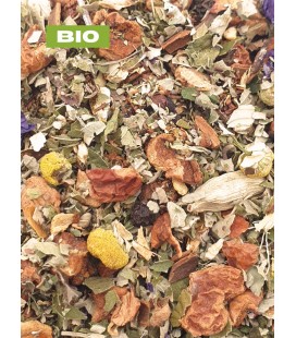 Rooibos système immunitaire - antioxydant - Tisane - Produits bio