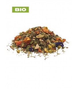 Tisane respiration N°1 BIO immunité, plantes en vrac