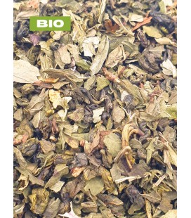 Thé vert Gunpowder - Aide minceur - Ventre plat - Énergie - Diurétique - Tisane bio