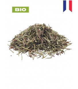 Romarin BIO, rosmarinus officinalis, tisane de romarin - feuille entière, plantes en vrac