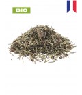 Romarin BIO, rosmarinus officinalis, tisane de romarin - feuille entière, plantes en vrac - Herboristerie & Phytothérapie