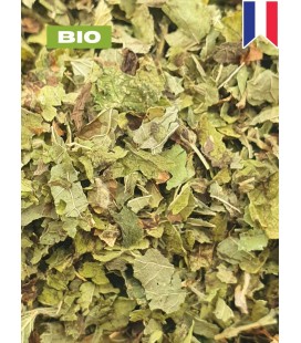 Mélisse BIO, melissa officinalis, tisane mélisse - brisure de feuille - Produits, plantes en vrac - Herboristerie & Phytothérapi