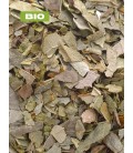 Boldo BIO, peumus boldus, tisane boldo - feuille coupée, plantes en vrac - Herboristerie & Phytothérapie