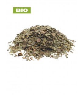 Boldo BIO, peumus boldus, tisane boldo - feuille coupée, plantes en vrac