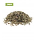 Boldo BIO, peumus boldus, tisane boldo - feuille coupée, plantes en vrac - Herboristerie & Phytothérapie