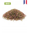 Bruyère BIO, calluna vulgaris, tisane de bruyère - fleur/feuille coupée, plantes en vrac - Herboristerie & Phytothérapie