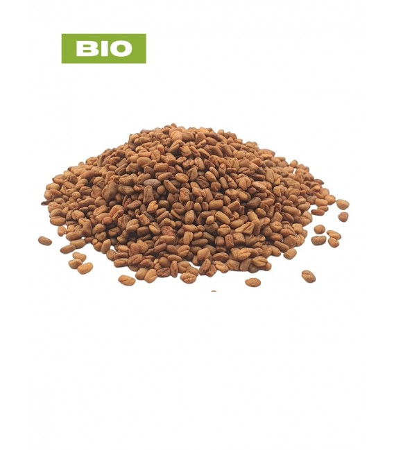 Fenugrec BIO, trigonella foenum-graecum - Tisane fenugrec - graine, plantes en vrac - Herboristerie & Phytothérapie