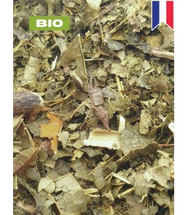 Hamamelis BIO, hamamelis virginiana, tisane hamamelis - feuille coupée, plantes en vrac - Herboristerie & Phytothérapie