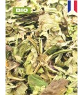 Menthe poivrée BIO, mentha x piperita, tisane menthe poivrée - brisure de feuille, plantes en vrac - Herboristerie & Phytothérap