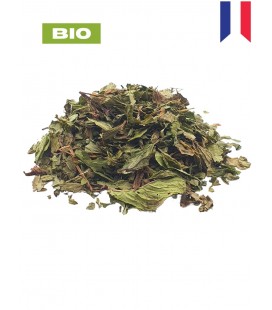 Menthe poivrée BIO, mentha x piperita, tisane menthe poivrée - brisure de feuille, plantes en vrac - Herboristerie & Phytothérap