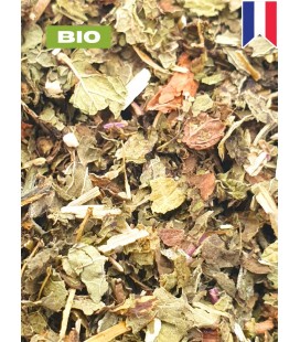 Menthe BIO, menthe douce, tisane menthe - brisure de feuille, plantes en vrac - Herboristerie & Phytothérapie