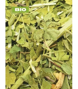 Passiflore BIO, passiflora edulis sims, tisane passiflore - partie aérienne coupée, plantes en vrac - Herboristerie & Phytothéra