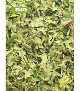 Verveine citronnelle BIO, lippia citriodora, tisane verveine - brisure de feuille, plantes en vrac - Herboristerie & Phytothérap