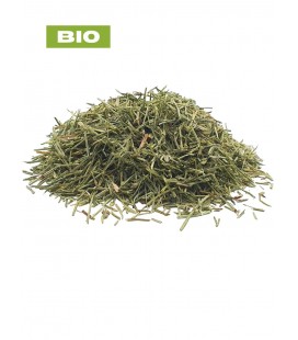 Prêle - Equisetum Arvense - Tisane de prêle - Partie aérienne coupée - Produits bio