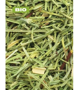 Prêle - Equisetum Arvense - Tisane de prêle - Partie aérienne coupée - Produits bio
