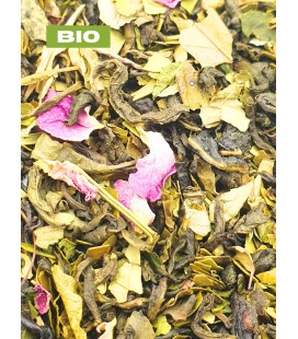 Thés/maté/rooibos pamplemousse/gingembre - Tisane bio