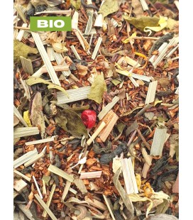 Thé rooibos BIO mangue/gingembre, plantes en vrac - Herboristerie & Phytothérapie