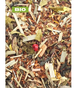 Thés/rooibos mangue/gingembre - Tisane bio